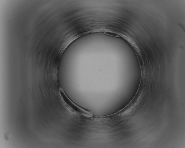 X0000091690905200709201256