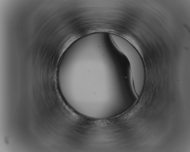 X0000091690906200709201256