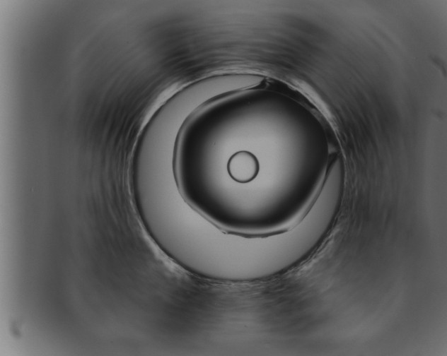 X0000091690909200709201256