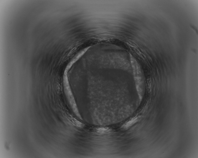 X0000091690916200709201255