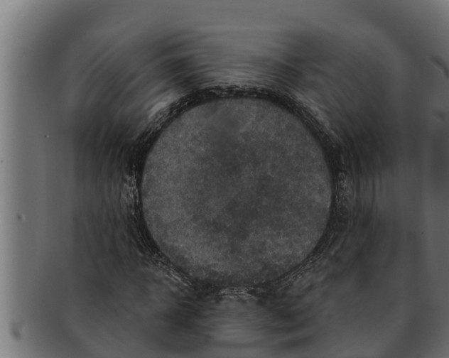 X0000091690918200709201255