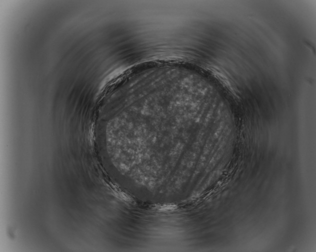 X0000091690920200709201255