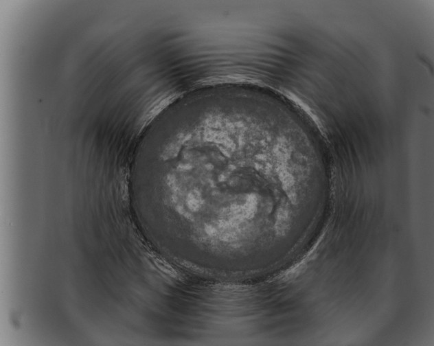 X0000091690921200709201255