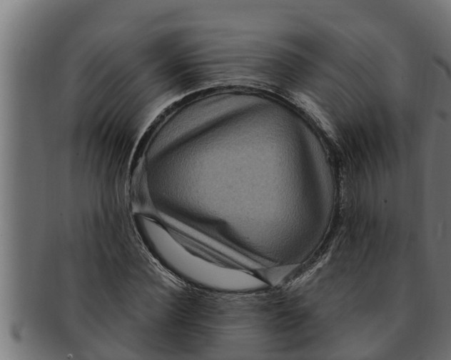 X0000091690924200709201255