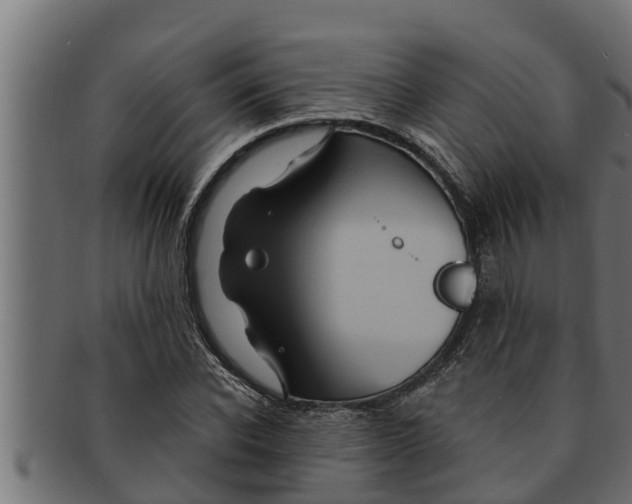 X0000091690926200709201255