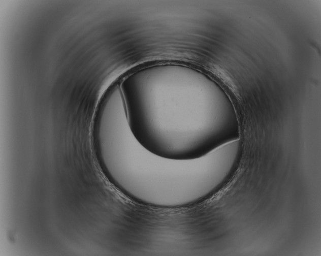 X0000091690928200709201255