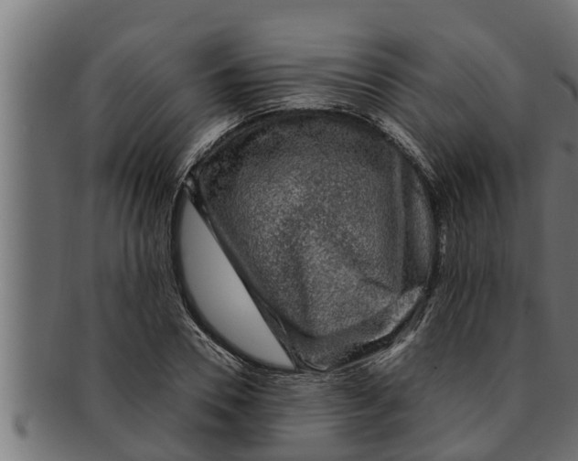 X0000091690930200709201255