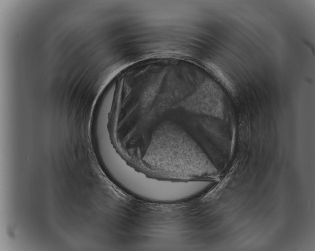 X0000091690932200709201255