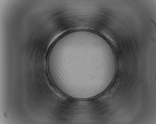 X0000091690933200709201255