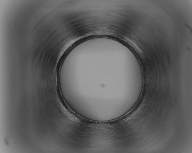 X0000091690934200709201255