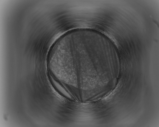 X0000091690935200709201255