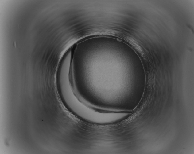 X0000091690936200709201255