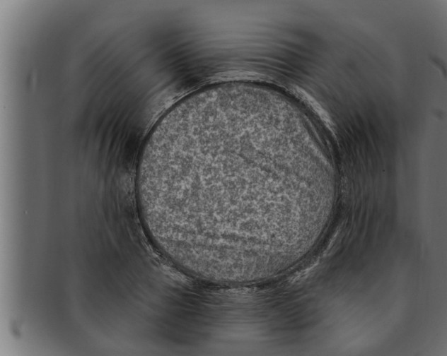 X0000091690937200709201255