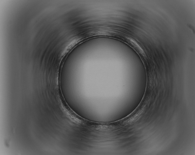 X0000091690938200709201255