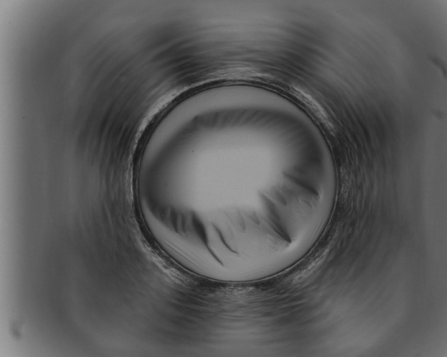 X0000091690939200709201255