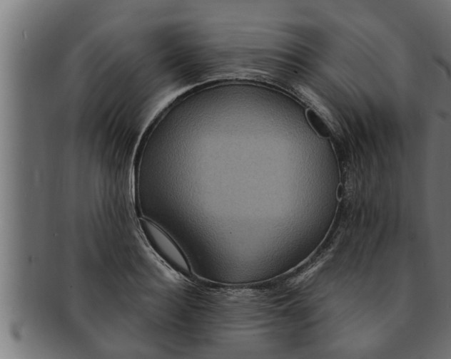 X0000091690940200709201255