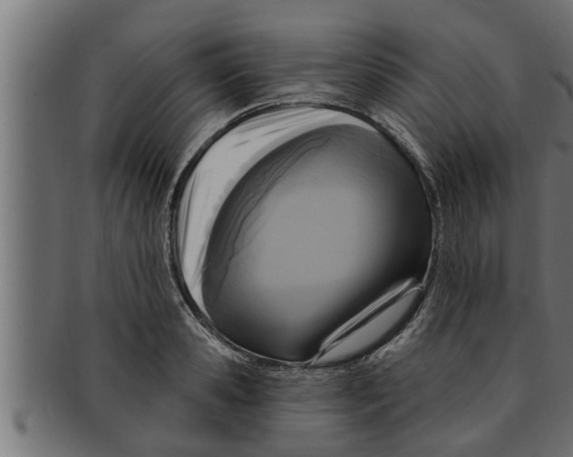 X0000091690941200709201255