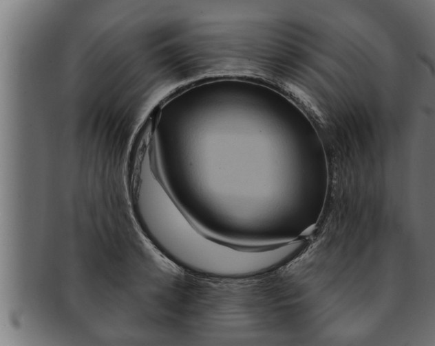 X0000091690942200709201255