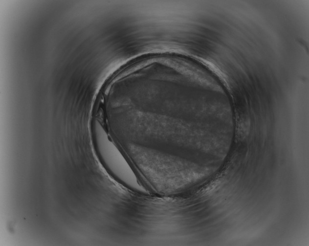 X0000091690943200709201256