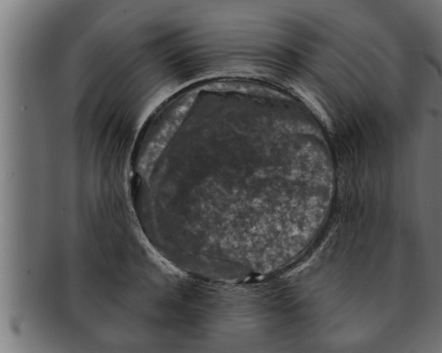 X0000091690944200709201256