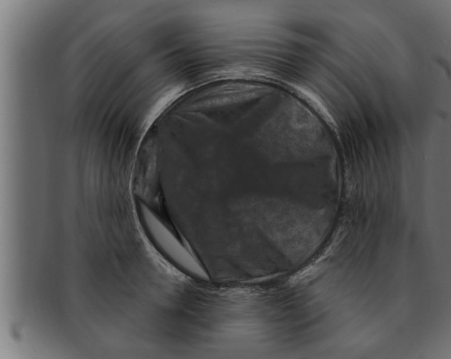 X0000091690946200709201256