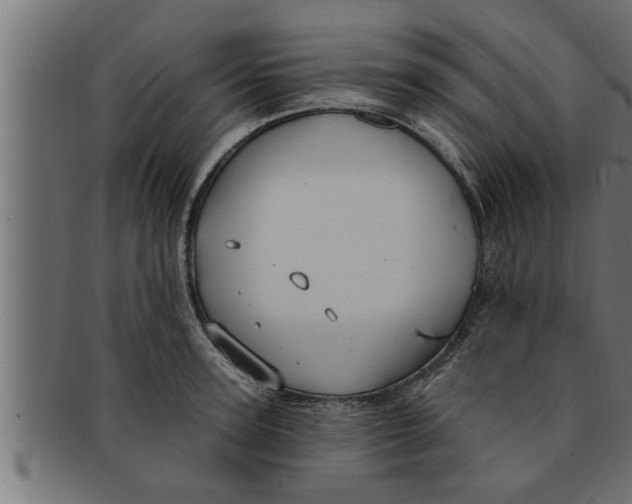 X0000091690947200709201256