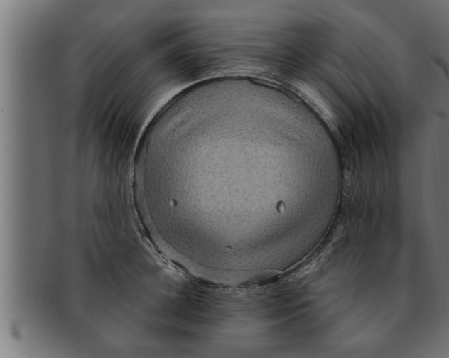 X0000091690948200709201256