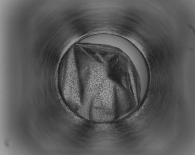 X0000091690949200709201256