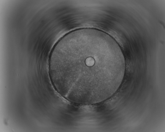 X0000091690950200709201256