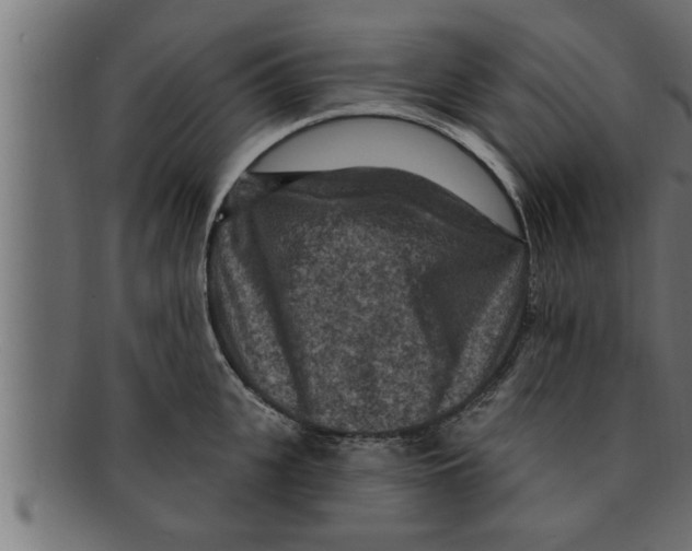 X0000091690951200709201256