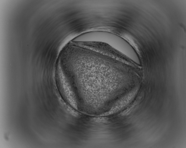 X0000091690952200709201256