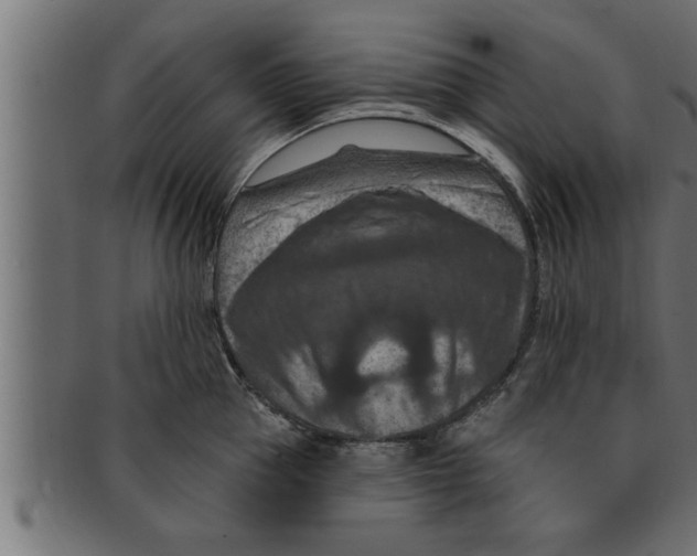 X0000091690953200709201256