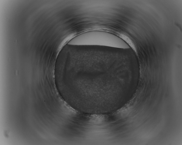 X0000091690954200709201256