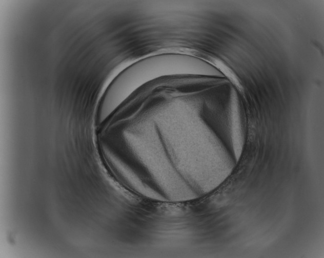 X0000091690955200709201256