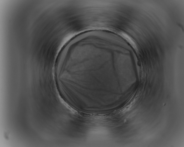 X0000091690958200709201256