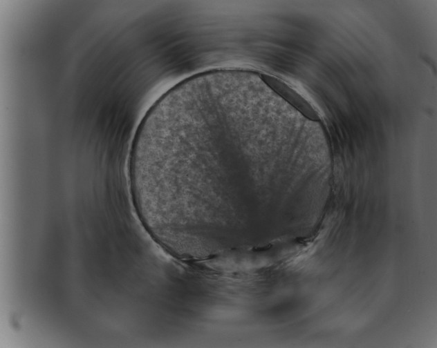 X0000091690959200709201256