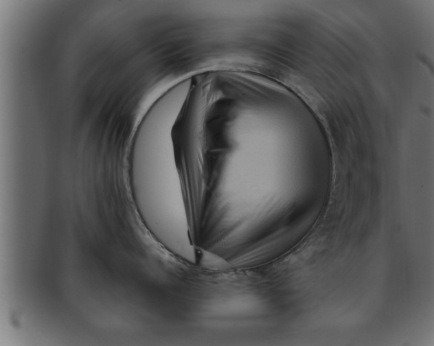 X0000091690960200709201256