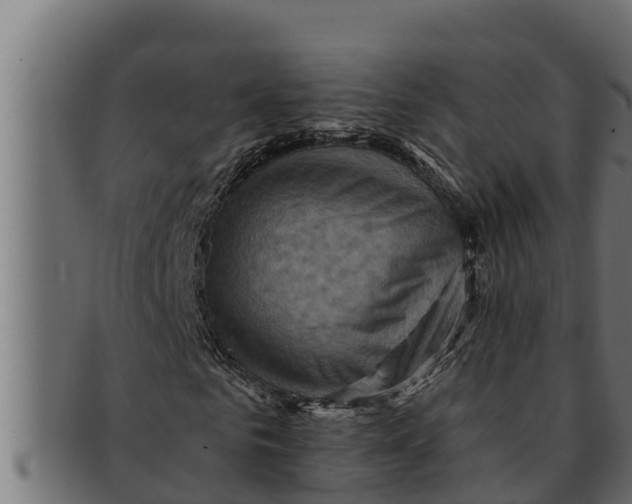 X0000091690961200709201255