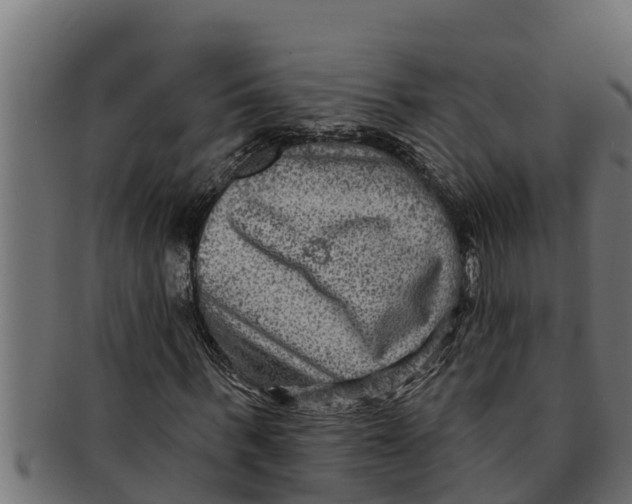 X0000091690963200709201255