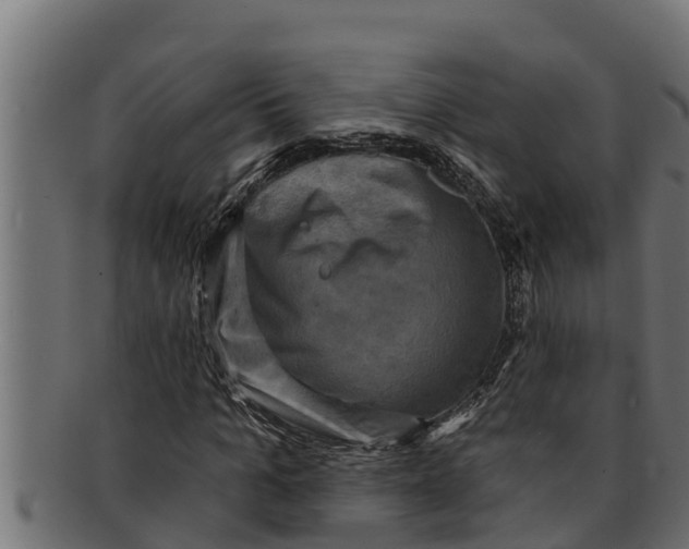 X0000091690965200709201255