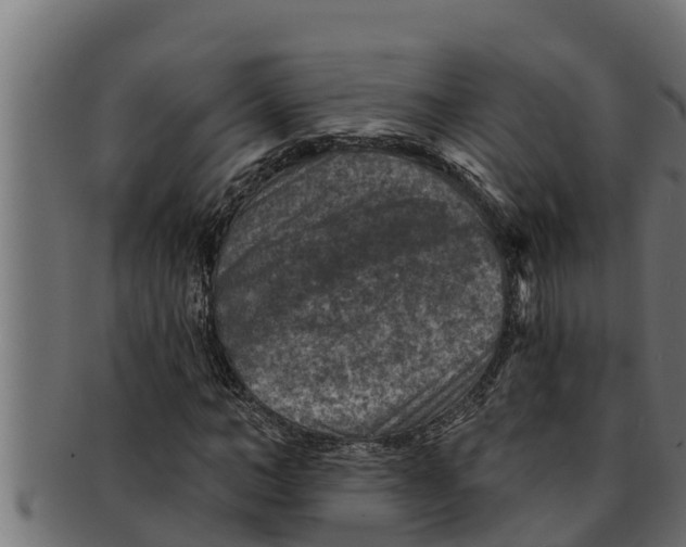 X0000091690966200709201255