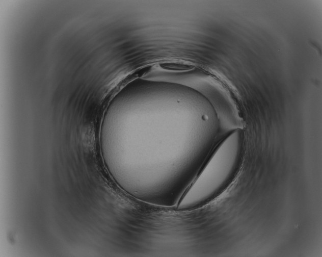 X0000091690969200709201255