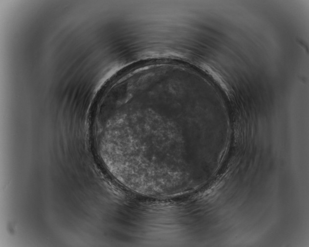 X0000091690975200709201255