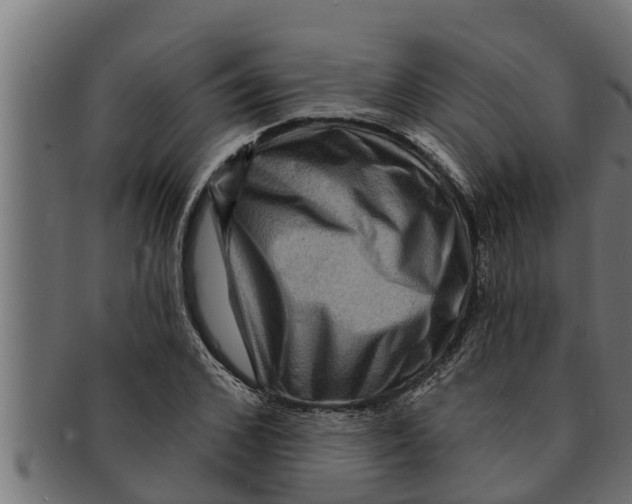 X0000091690976200709201255