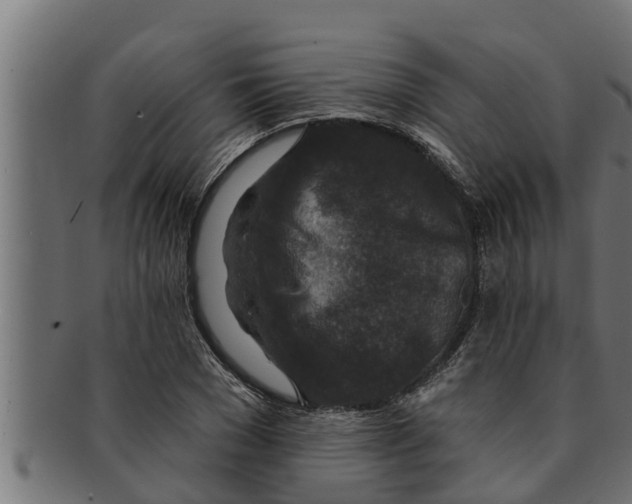 X0000091690977200709201255