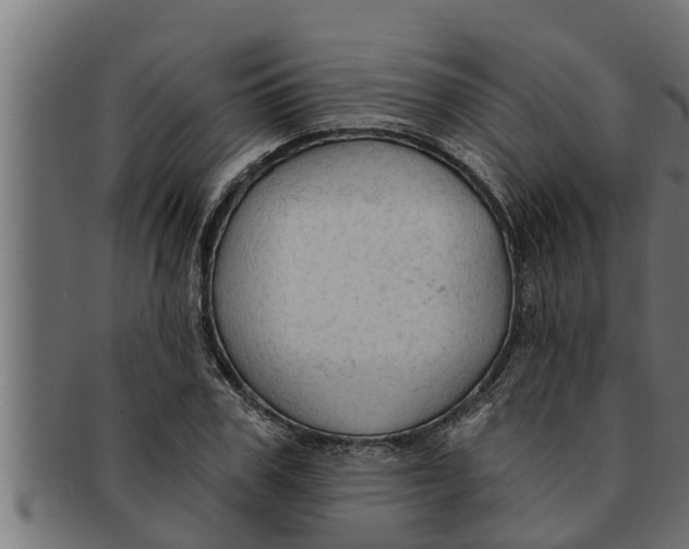 X0000091690979200709201255