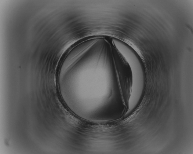 X0000091690980200709201255