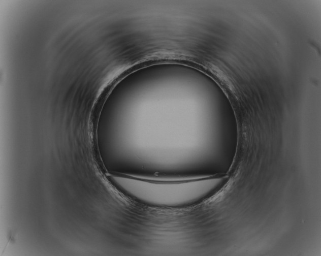 X0000091690981200709201255