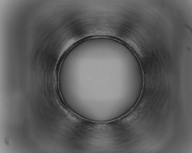 X0000091690982200709201255