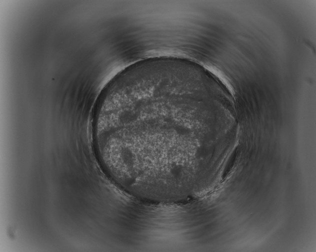 X0000091690983200709201255